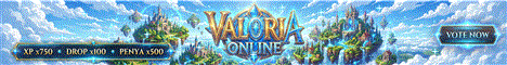 server